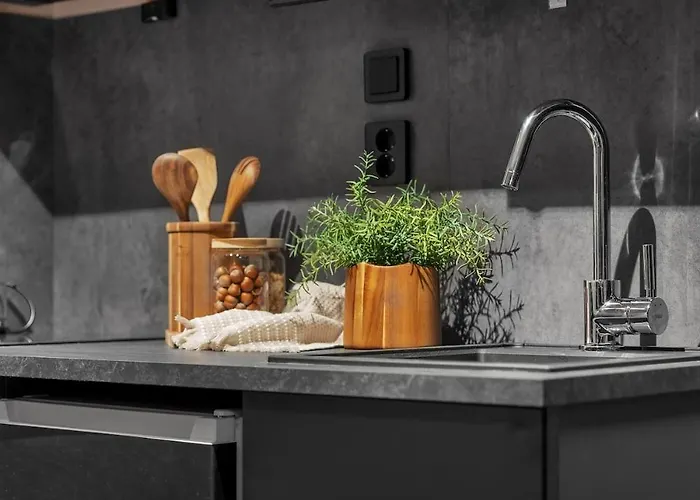 New In The Very Heart Of Apartment